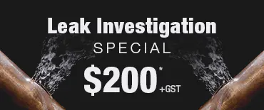 Leak Investigation Discount Blockhouse Bay